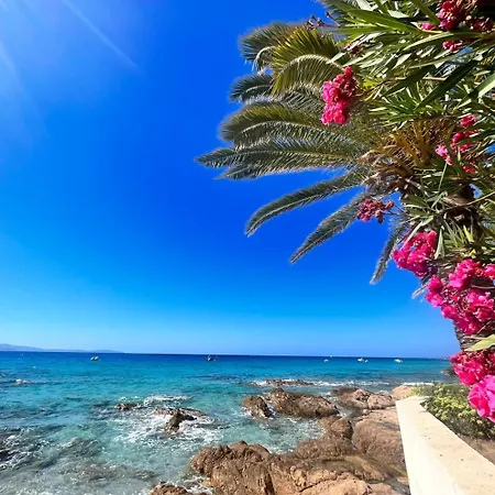 Iles Sanguinaires Διαμέρισμα Αζάτσιο